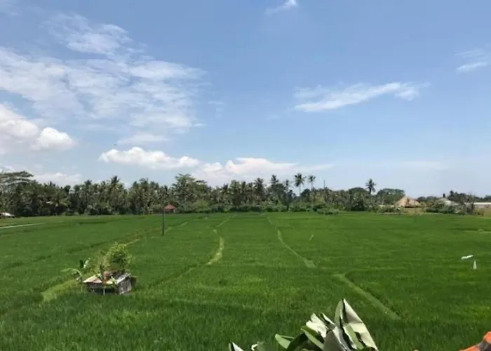 Heavenly View Villa Ubud